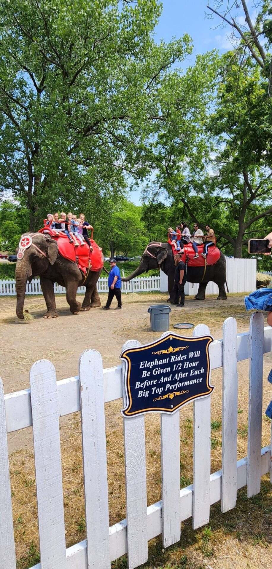 Kids with elephants